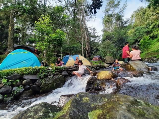 Luxury tent Tapian Ratu Camp Real