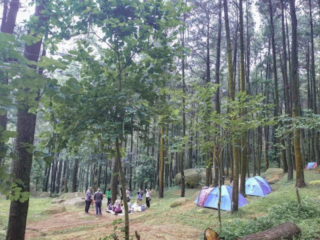Luxury tent Tapian Ratu Camp Real *